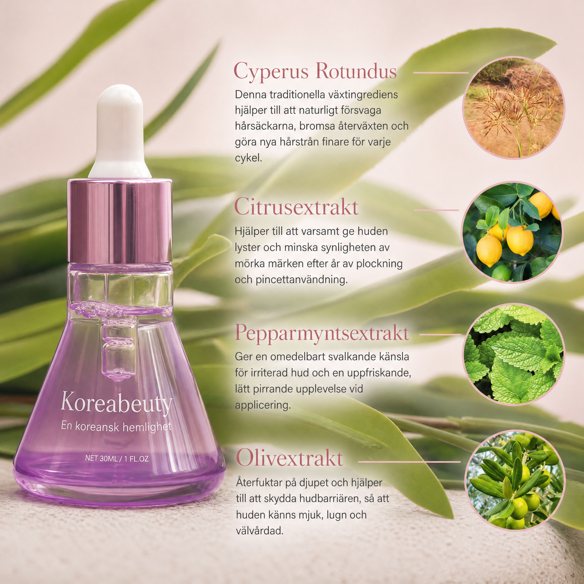Koreabeauty - silkroot serum, slipp raka dig